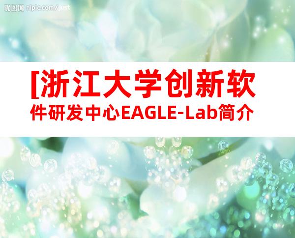 [浙江大学创新软件研发中心EAGLE-Lab简介